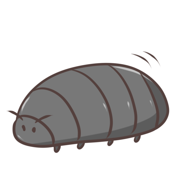 新鮮な夏 虫 イラスト かわいい 最高の動物画像