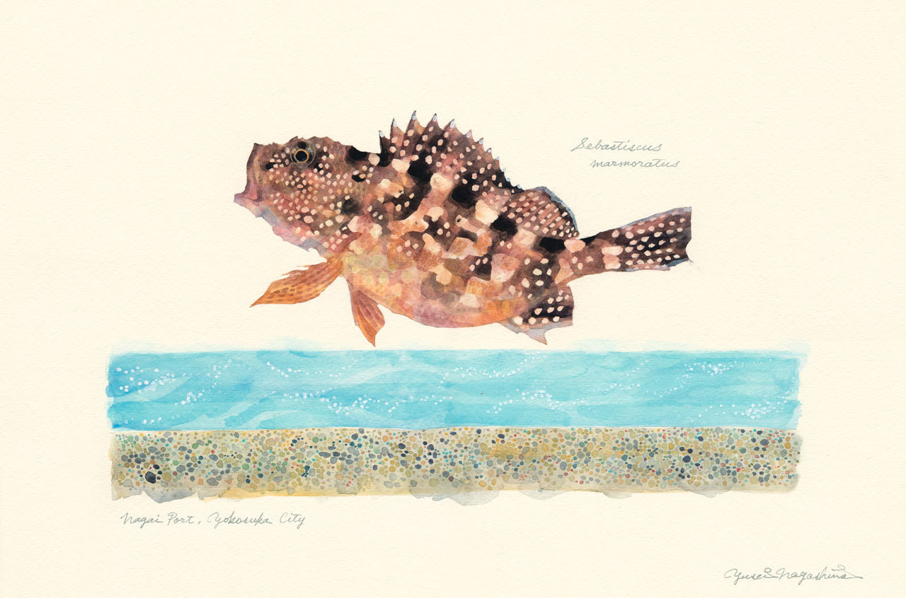 ほとんどのダウンロード 魚 跳ねる イラスト Mantapoirasutogazo