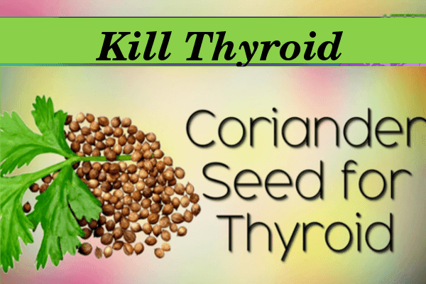 kill Thyroid with Coriander Seeds