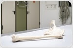 Validating Micro-CT for Forensic Investigations