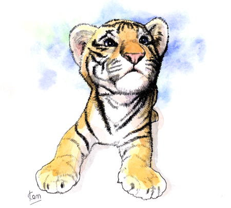 無料ダウンロード 虎 イラスト 無料 かわいい 8453 虎 イラスト 無料 かわいい