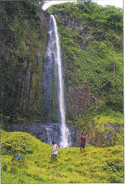 Costa rica is located between nicaragua and panama in the southern part of central america and is easy to get to whether you fly or drive. Cocos Island
