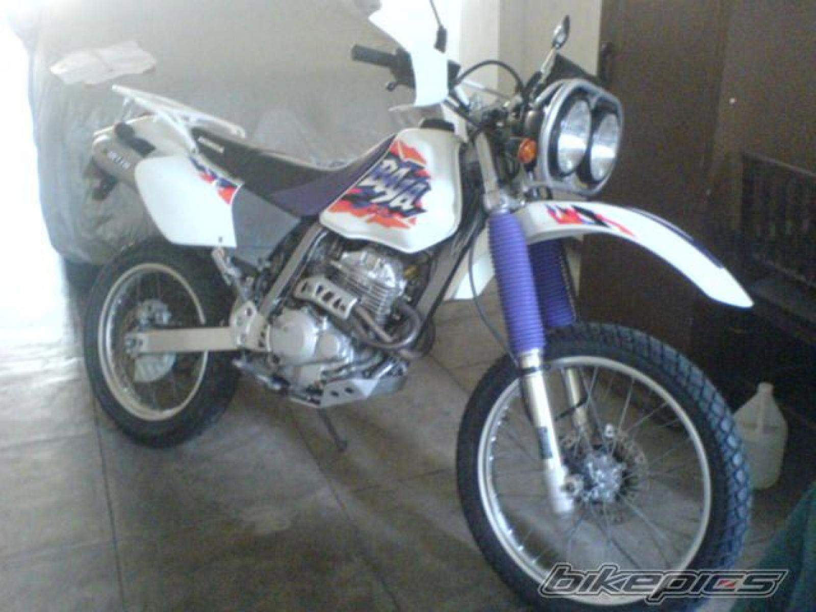 Honda Xlr 250 Baja For Sale Best Auto Cars Reviews