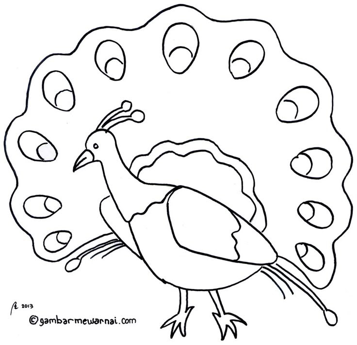 Burung Gambar Hitam Putih Untuk Diwarnai