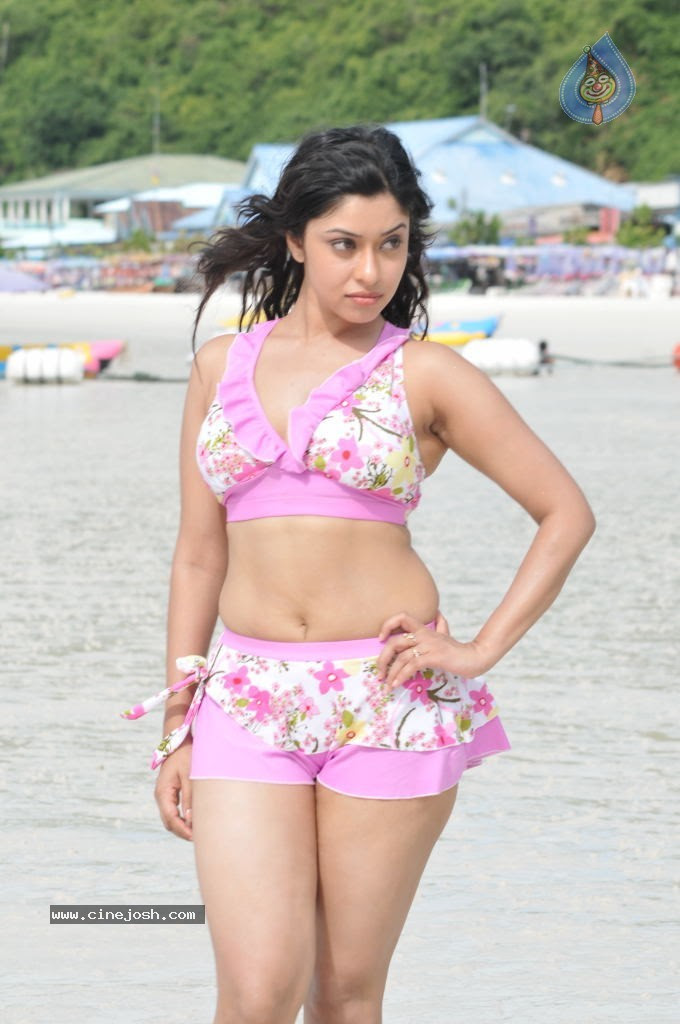 Harika (Payal Gosh) Pink Two Piece  Bikini at Beach