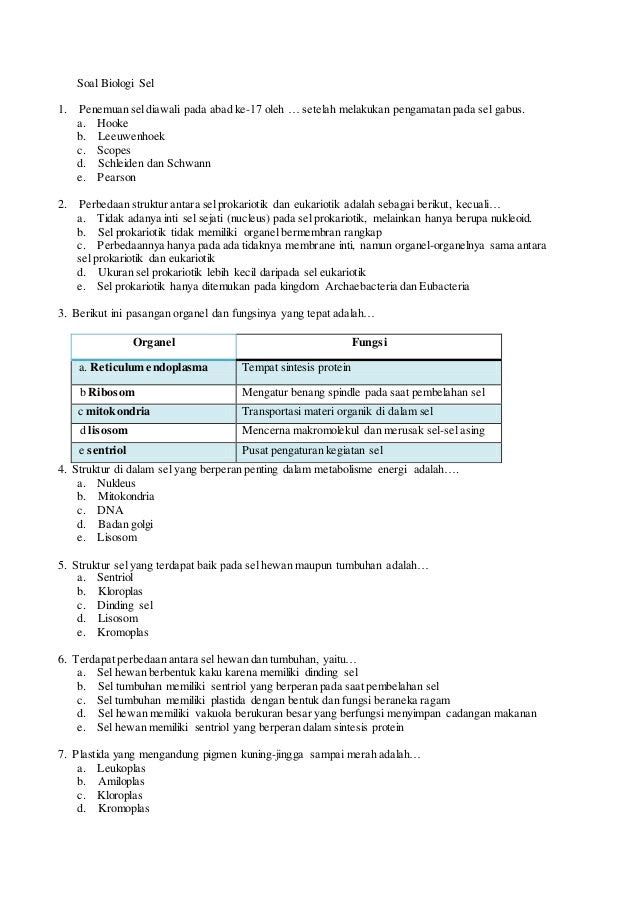 Contoh Soal  Hots  Jaringan  Tumbuhan Nada Blog