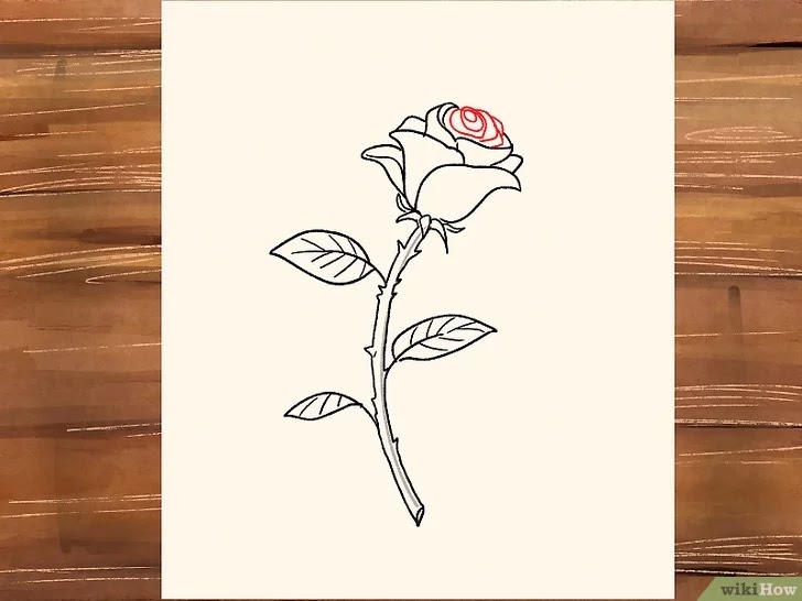 14 Gambar Bunga Mawar Dari Pensil Richa Gambar