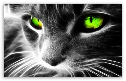 Paling Keren 19 Wallpaper Abstrak  Cat  Air  Richa Wallpaper