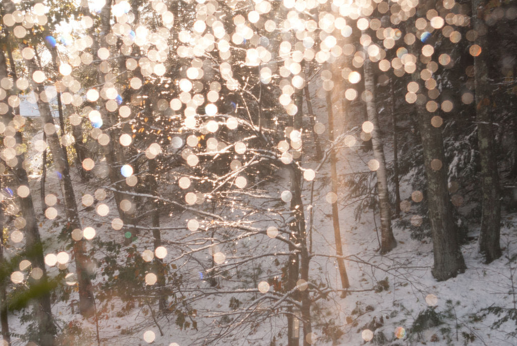 tumblr_static_beautiful-fairy-lights-winter-favim_com-275869-2665.jpg
