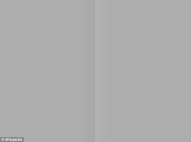 Same same: The shades of gray here are the same, only the lighter and darker shading in the middle make it appear that one side is slightly darker than the other