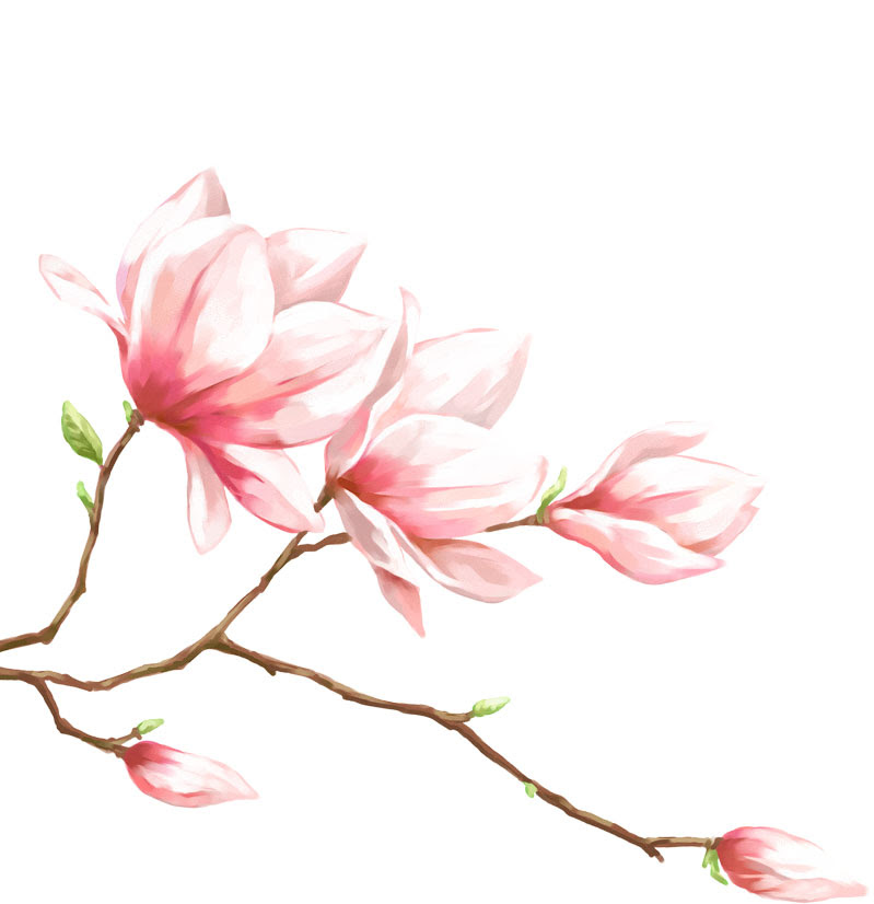 新鮮なリアル 桃 の 花 イラスト スーパーイラストコレクション