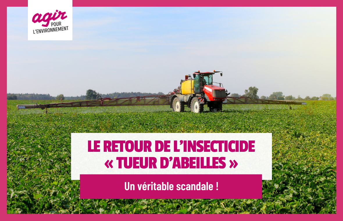 Le retour de l'insecticide « tueur d’abeilles » : un véritable scandale !