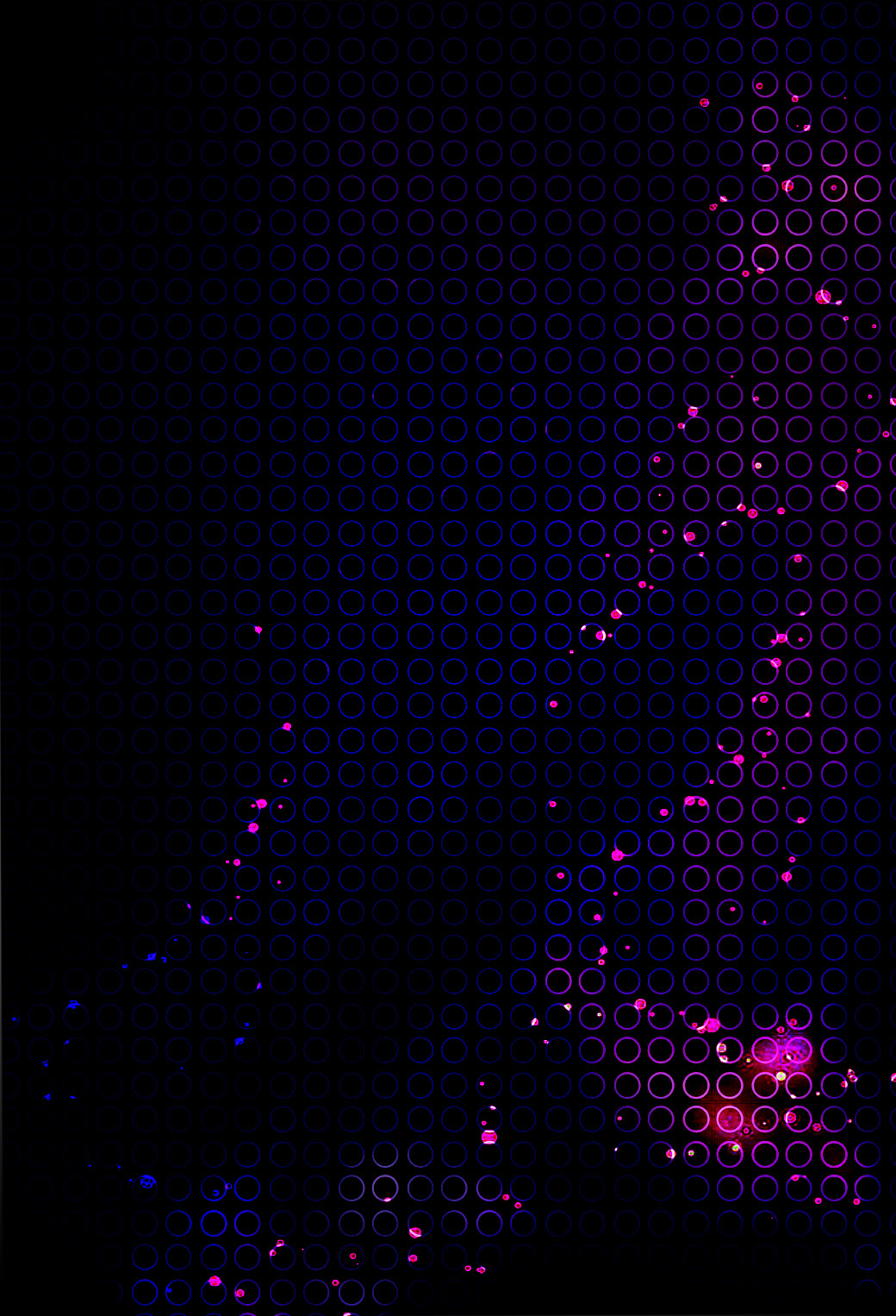 すべての花の画像 100 Epic Best黒 スマホ 壁紙 グラデーション
