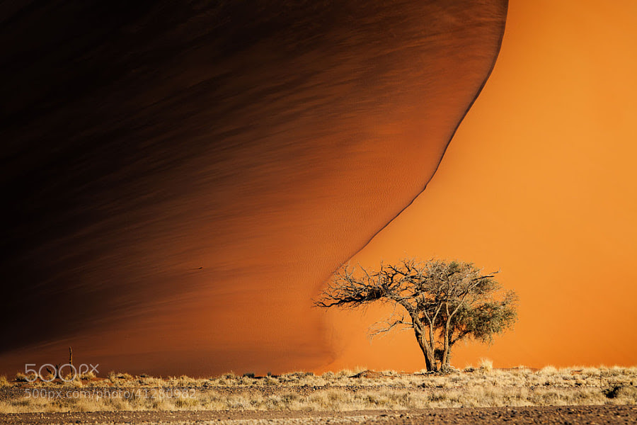 Minimalism by Marina Sorokina on 500px