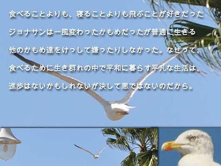 最も人気のある かもめ の ジョナサン 名言 ベストアバウト壁紙hd