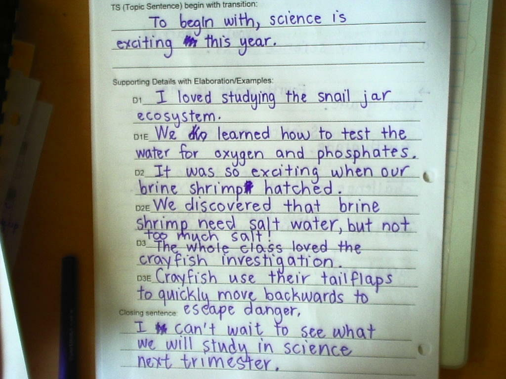 After writing your rough draft you can either start on a first draft right away or wait a few days. Sample Body Paragraph 1 Rough Draft Cves 4th Grade