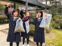 ファッショントレンド トップ100 武庫川女子大学附属高等学校