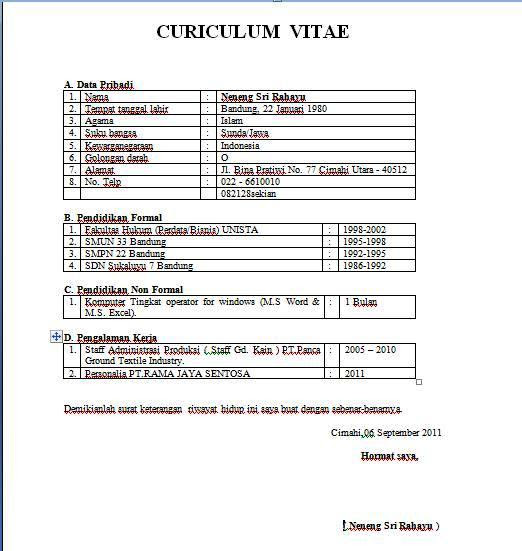 Contoh Format Cv Dan Lamaran Kerja - Contoh 193