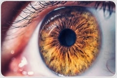 New method to treat blindness using retinal cell production
