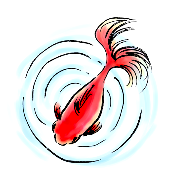 最高かつ最も包括的な金魚 イラスト 和風 アニメ画像