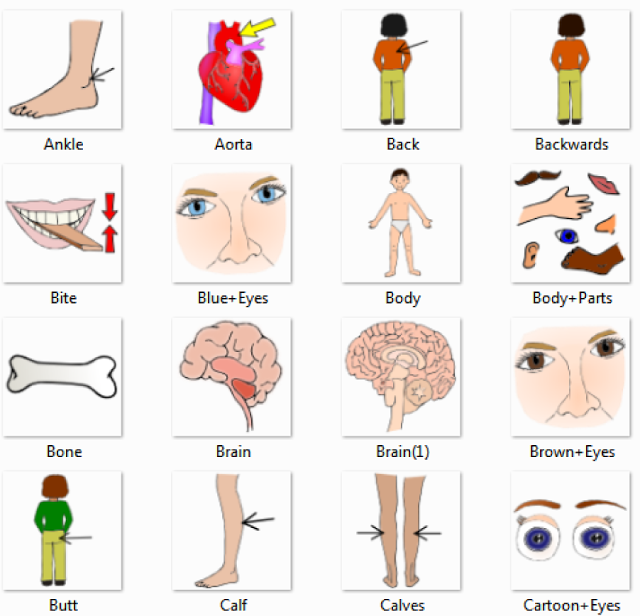 This is a list of tamil names for boys (தமிழ் சிறுவர்களின் பெயர்கள்). Body Parts Name Clip Art Library