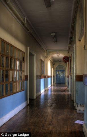 hall colour