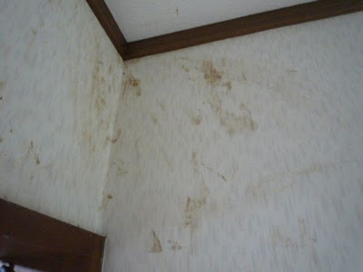 すべての花の画像 壁紙 茶色 汚れ 落とし方