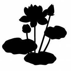 蓮 イラスト 無料 Ituirasuto