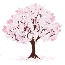 Hd限定桜の 木 イラスト 白黒 美しい花の画像
