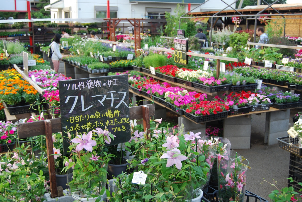 すべての美しい花の画像 トップ100 ベル 花屋