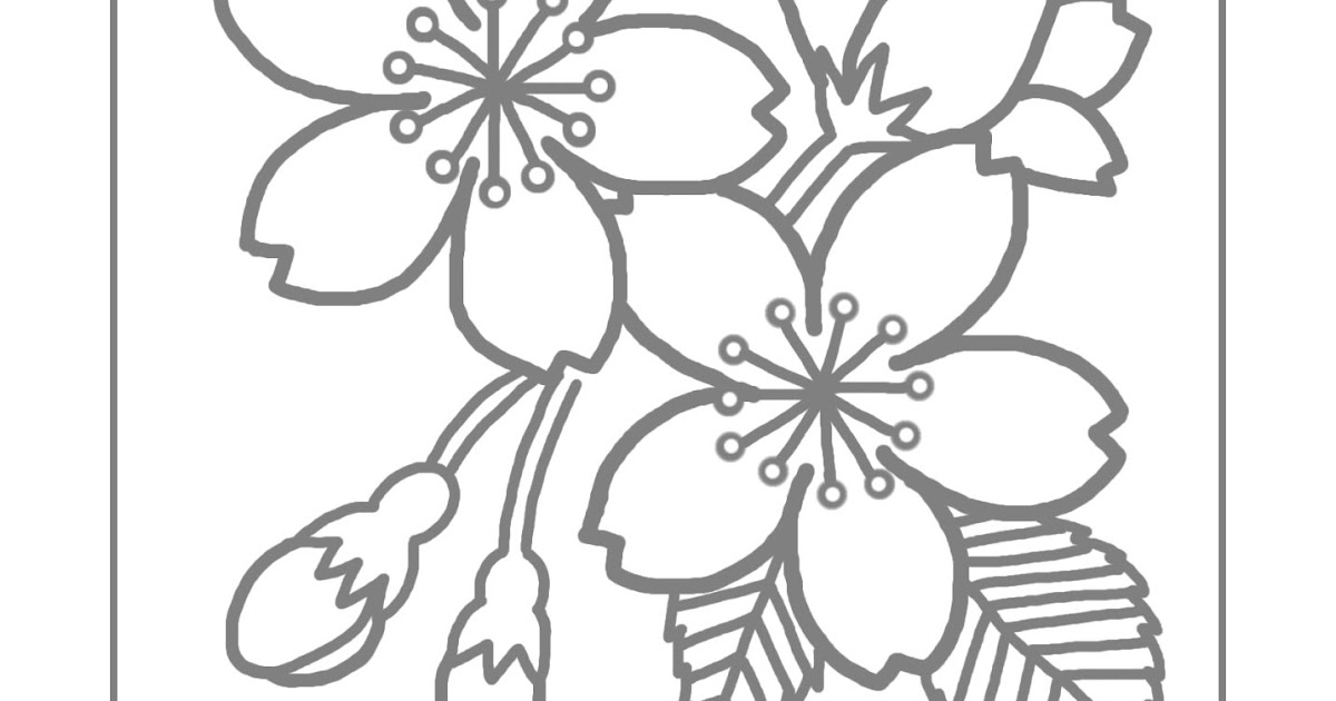 【50++】 塗り絵 桜 - 無料の印刷可能なぬりえページ！