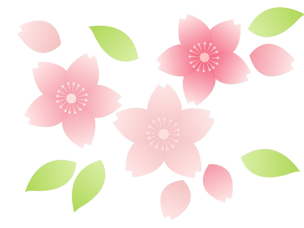 動物の壁紙 50 素晴らしい桜 葉っぱ イラスト