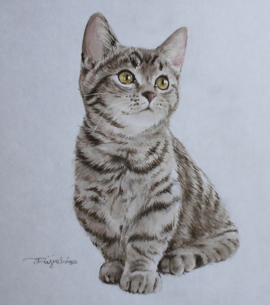 無料イラスト画像 ユニーク鉛筆 猫 イラスト リアル