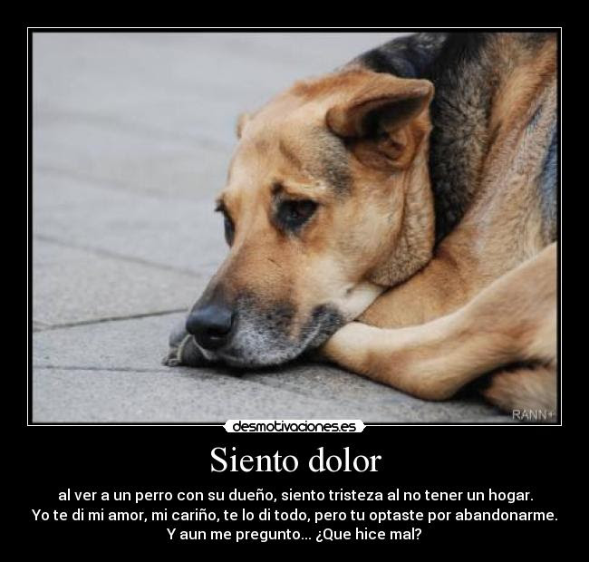 Carta De Amor Y Odio  About Quotes q