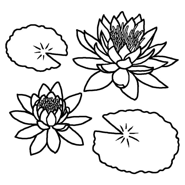 ダウンロード 睡蓮 イラスト 睡蓮 イラスト 書き方 Okepictnp3x