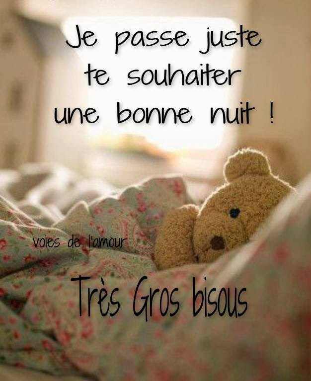 Image Drole Bonne Nuit Bisous