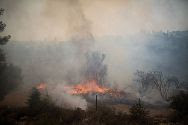 Forest fire in Judean Hills.