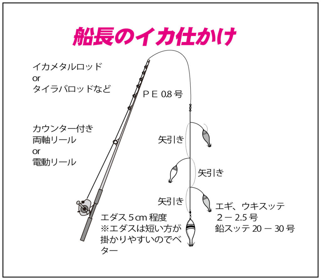 新着鉛スッテ 仕掛け すべての魚の画像