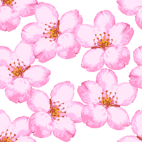 0以上 桜 イラスト リアル 写真素材 フォトライブラリー