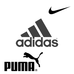 新鮮なpuma 壁紙 最高の花の画像
