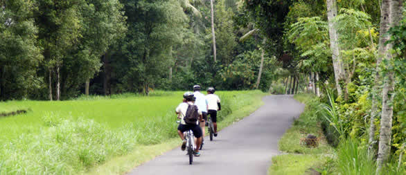 quiet countryside roads