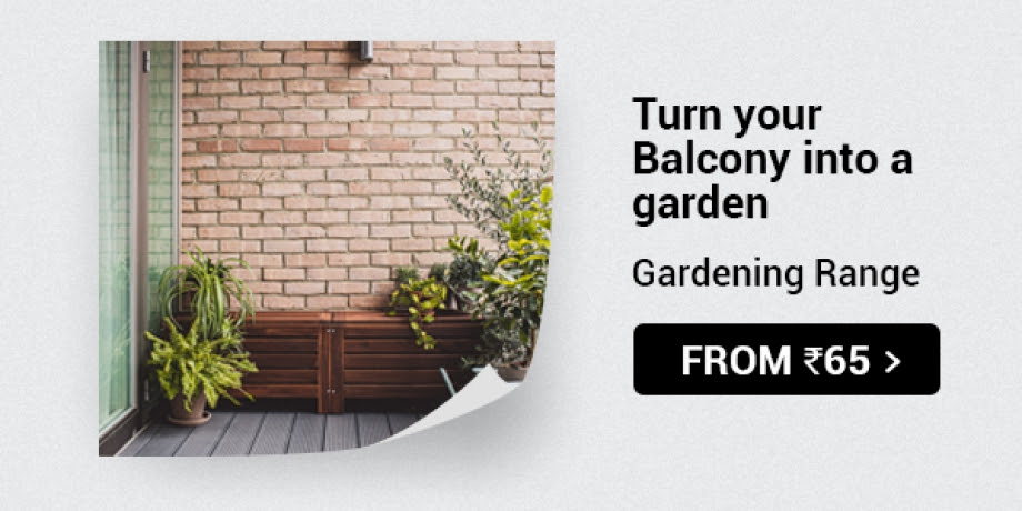 Turn your Balcony into a garden