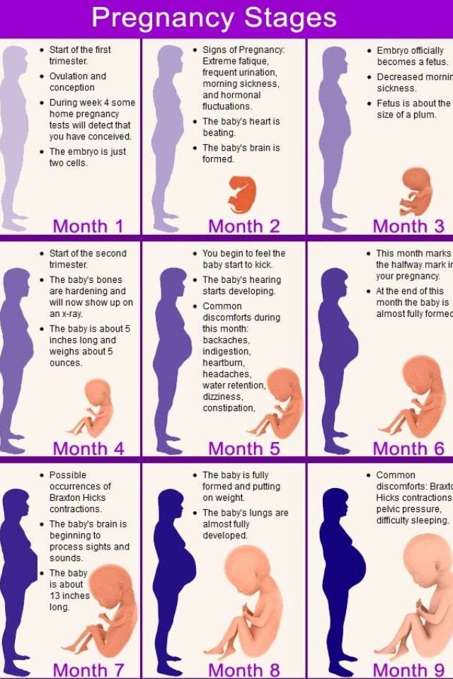 Konsep Baru Kehamilan 6 Bulan