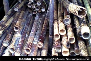 37 Jenis Bambu di Jabar Terancam Punah