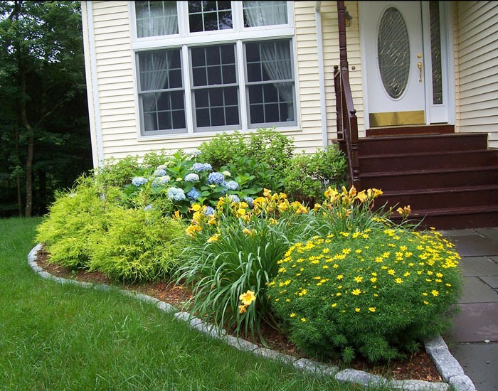 Build shed: Teach you Shade plants for foundation plantings