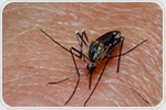 Study uncovers rare phenomenon of antibodies working together against malaria