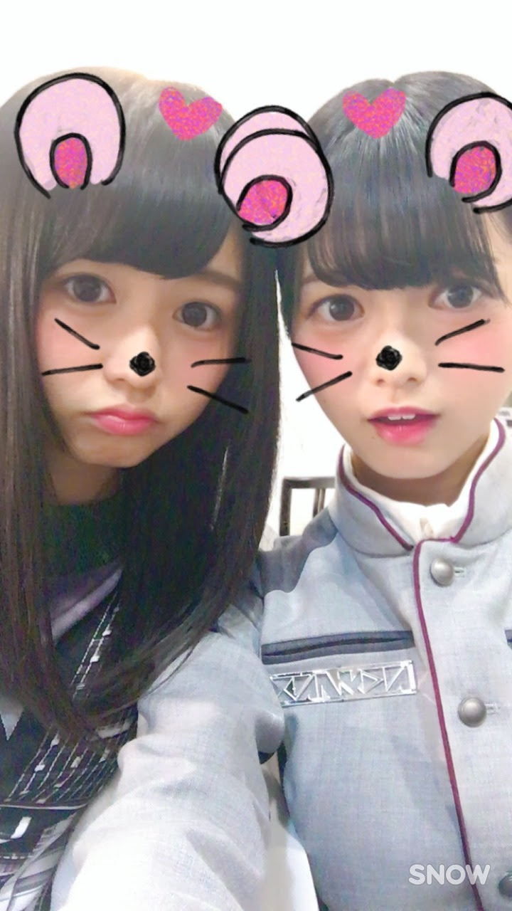 トップ100スノー 可愛い子 最高の動物画像
