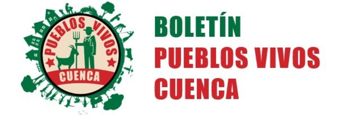 Boletín