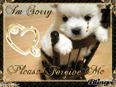 Gif Image Most Wanted I M Sorry Gif
