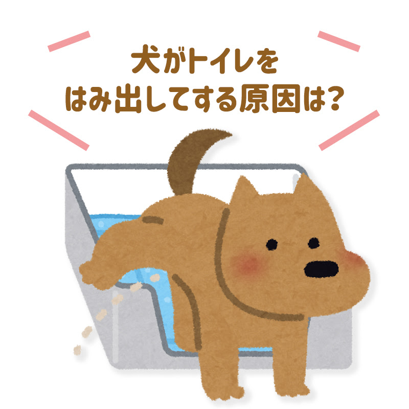 最も選択された 犬 オス トイレ 足上げない 犬 オス トイレ 足上げない Jpsaepictik72